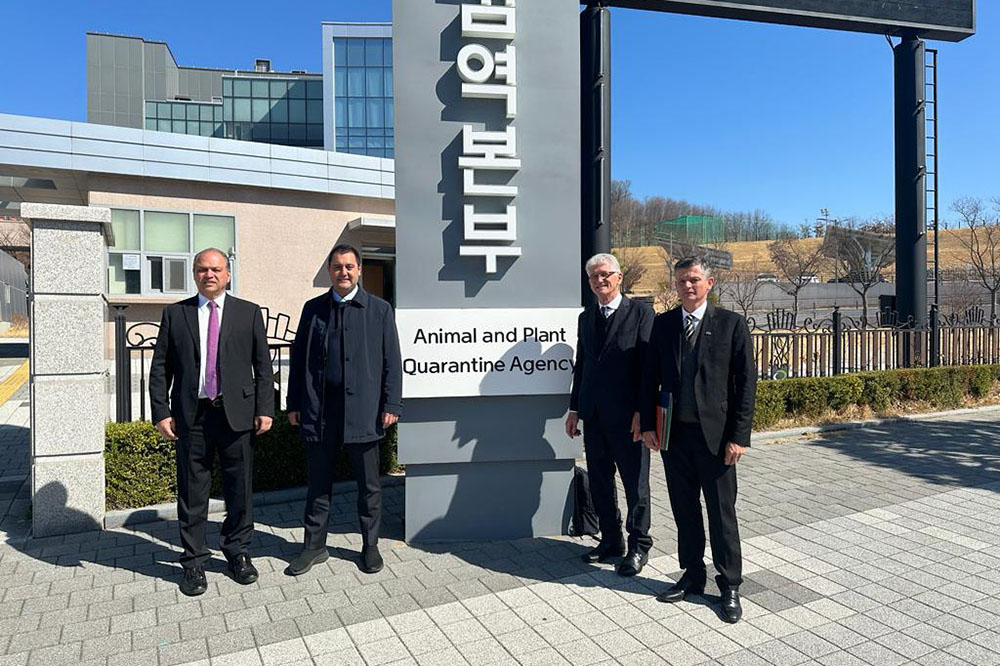 Com visita à agência sanitária da Coreia do Sul, Paraná quer acelerar venda de carne suína 8 venda de carne suína