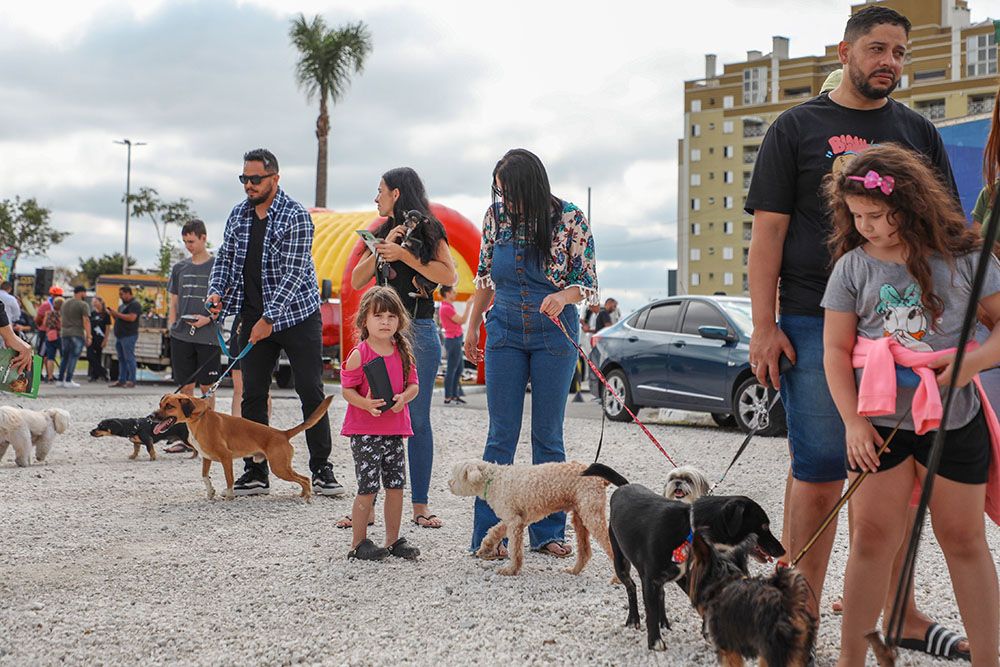1º Festival Pet de Pinhais vacinou 300 animais e possibilitou 19 adoções 1 Festival Pet de Pinhais