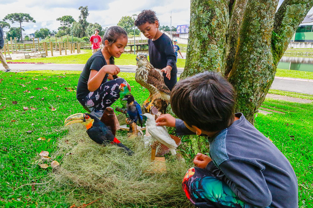 Safári no Parque reuniu crianças em uma tarde de diversão e aventuras no Parque das Águas 7 Safári no Parque