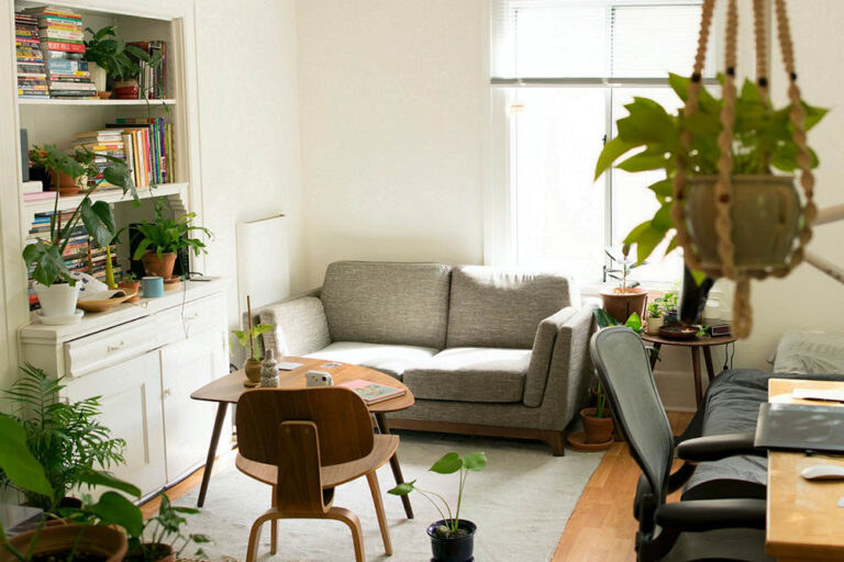 plantas em casa