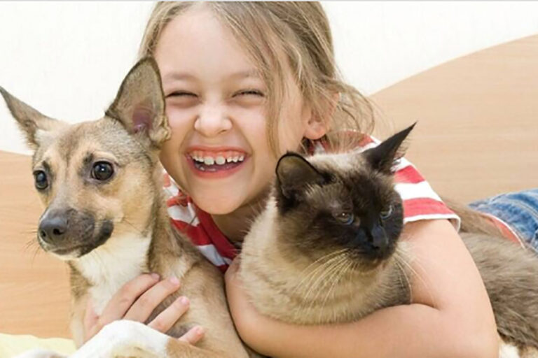 crianças com pets