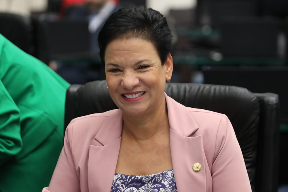 Projeto de lei quer incluir a Ciclorrota Nascente do Iguaçu no Roteiro Turístico Oficial do Estado 1 Deputada estadual Marli Paulino