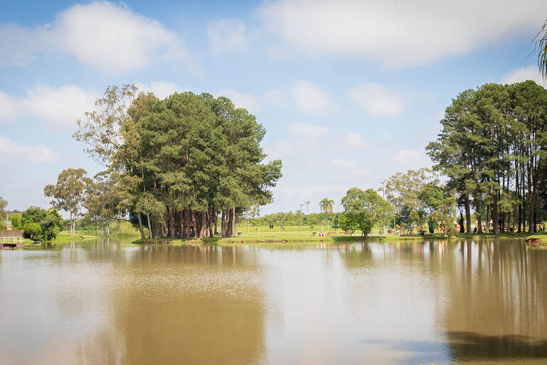 12 anos do Parque São José