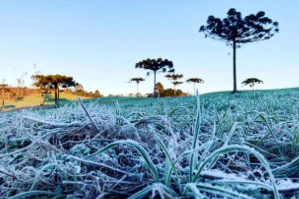 Simepar prevê inverno com poucas ondas de frio, alguns veranicos, nevoeiros e geadas 5 inverno com poucas ondas de frio