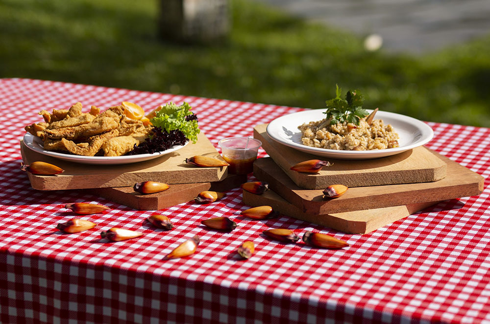 3ª edição do Festival do Pinhão de São José dos Pinhais termina dia 30 1 Festival do Pinhão