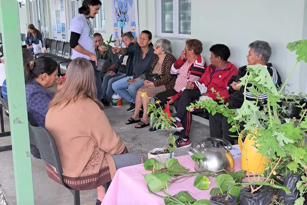 Grupo Terraterapia leva conhecimento sobre plantas medicinais aos moradores de Pinhais 2 Grupo Terraterapia