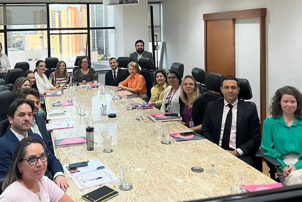 Judiciário, Executivo e Legislativo se reúnem para discutir o enfrentamento à violência doméstica 7 enfrentamento à violência doméstica