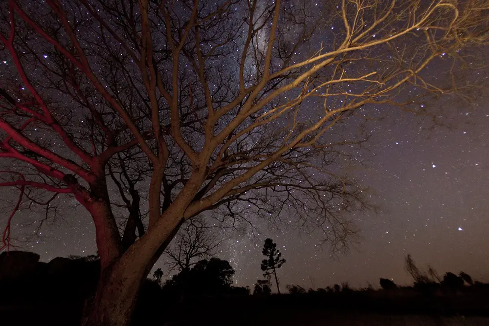 Parque Estadual de Vila Velha inicia temporada de Caminhada Noturna 3 Caminhada Noturna