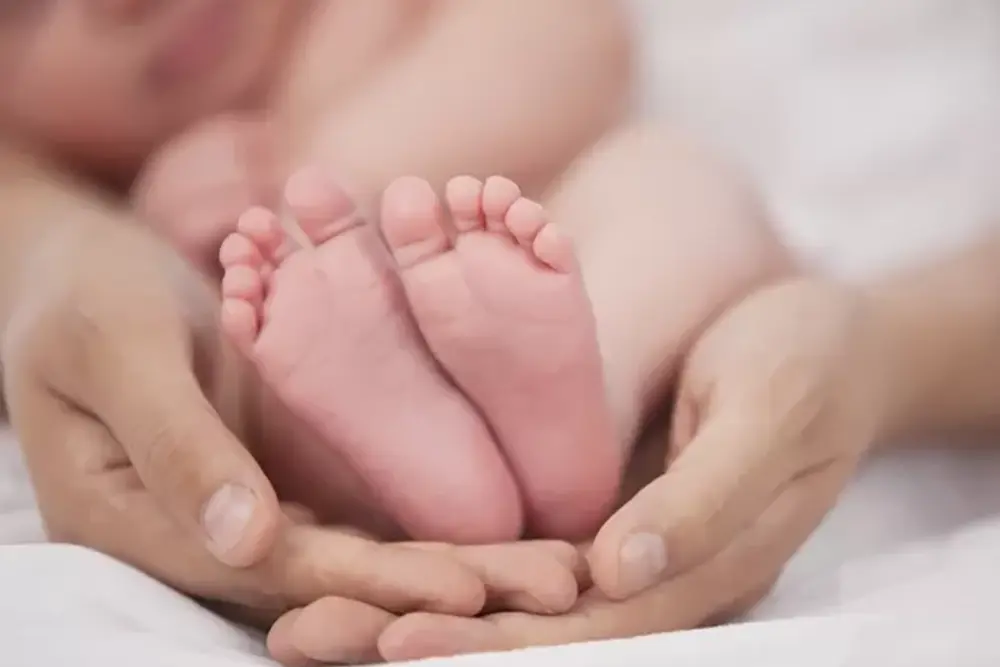 Cartórios de Curitiba explicam registro de nascimento de crianças em ano bissexto 3 nascimento de crianças em ano bissexto