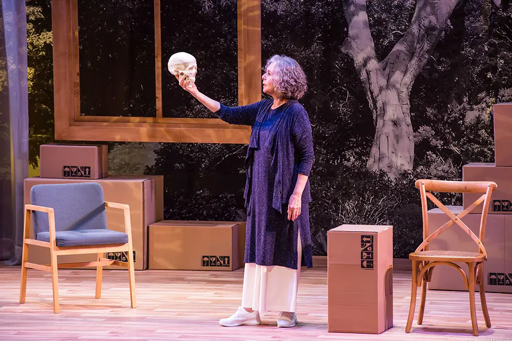 Com sessões esgotadas, Irene Ravache abre SESSÃO EXTRA do seu premiado espetáculo “Alma Despejada” 1 Alma Despejada