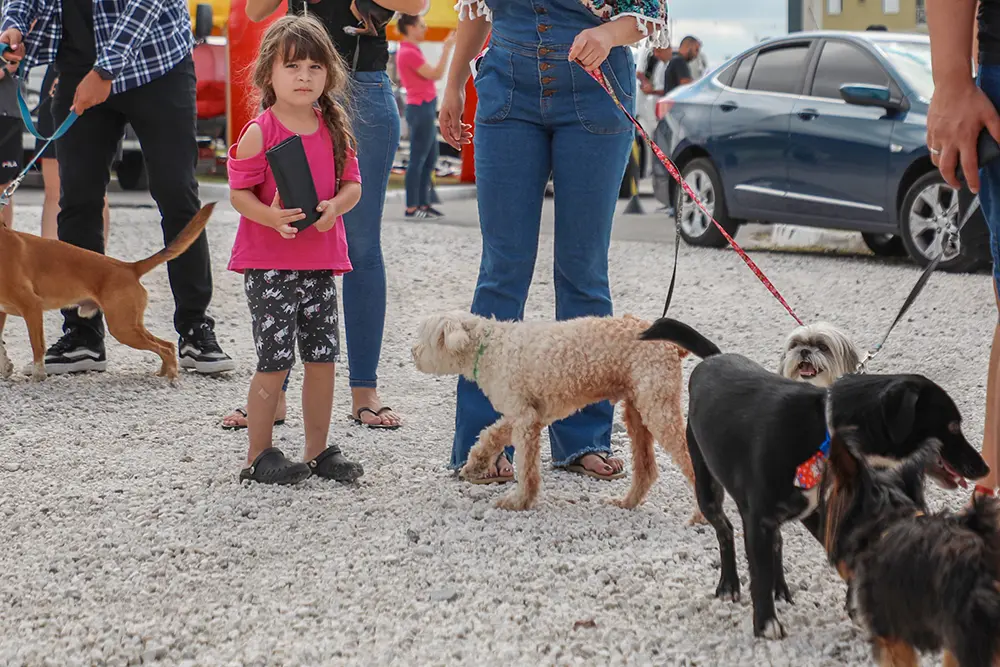 Festival Pet e Rua da Cultura abrem a programação deste final de semana 1 Festival Pet