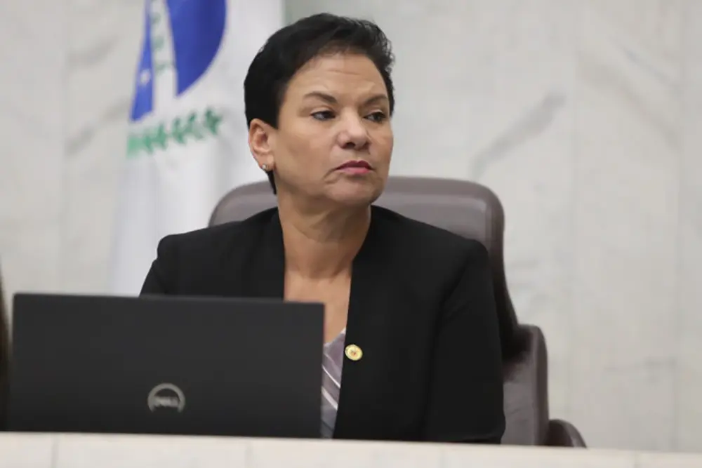 Deputada Marli Paulino apresenta projeto para respeito à integridade feminina após falecimento 5 Deputada estadual Marli Paulino