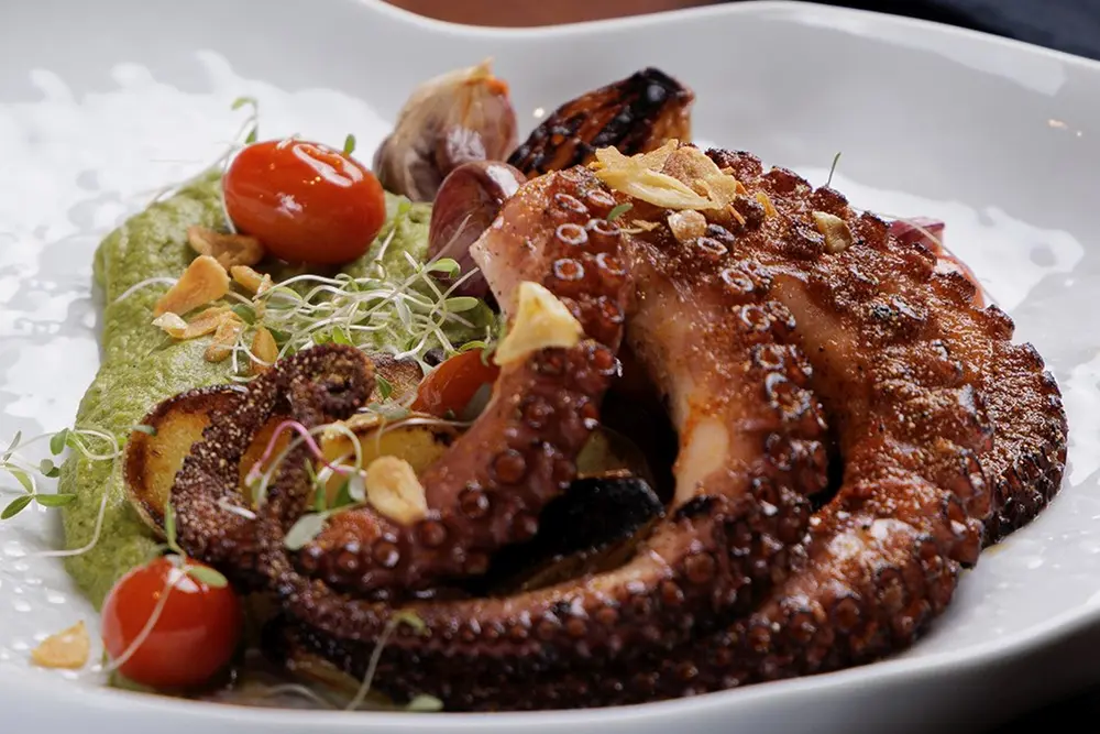 Festival do Polvo vai agitar Curitiba em abril 3 Festival do Polvo