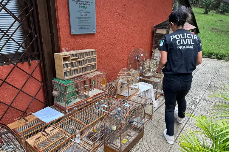 maus-tratos a animais