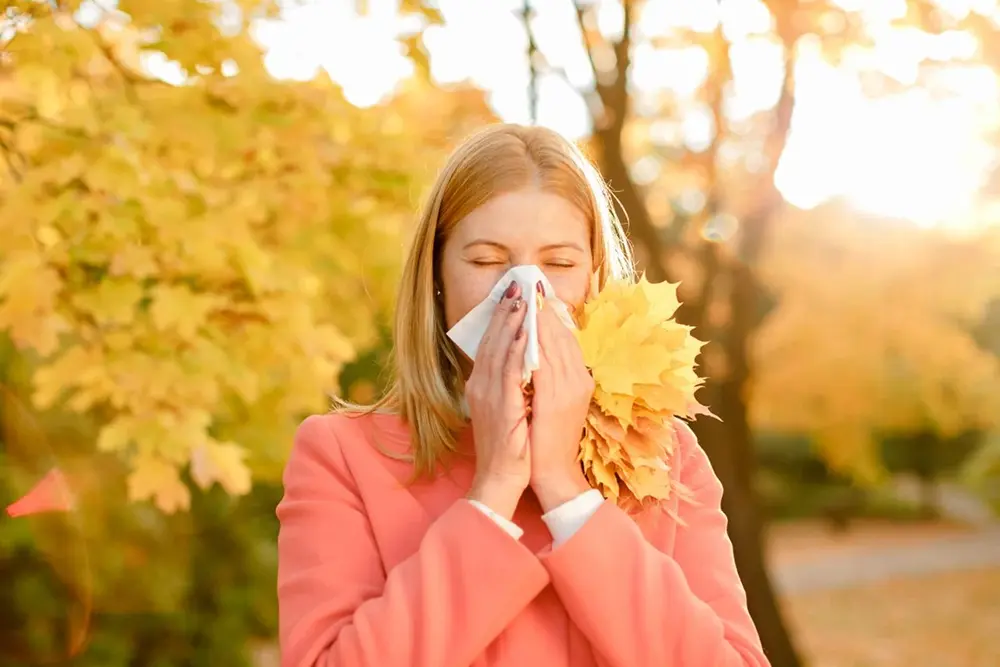 Como prevenir rinite, asma e influenza durante o outono e inverno? 6 Como prevenir rinite