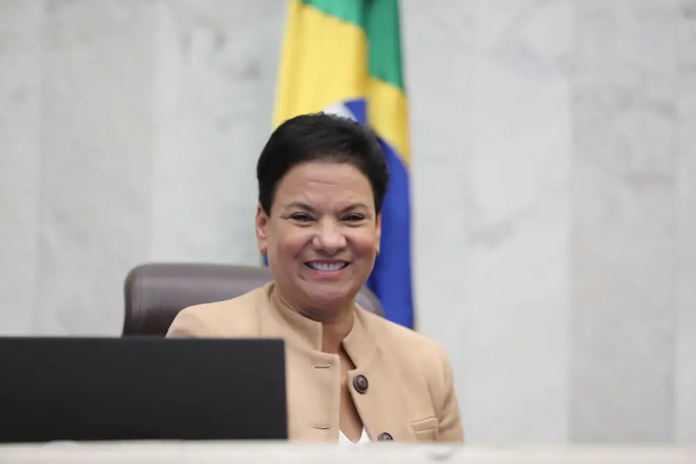 Deputada Marli Paulino protocola projeto para combater tráfico e aliciamento de crianças 4 Deputada estadual Marli Paulino