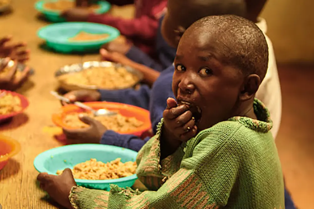 Regiões Norte e Nordeste têm maior número de domicílios com insegurança alimentar 3 insegurança alimentar
