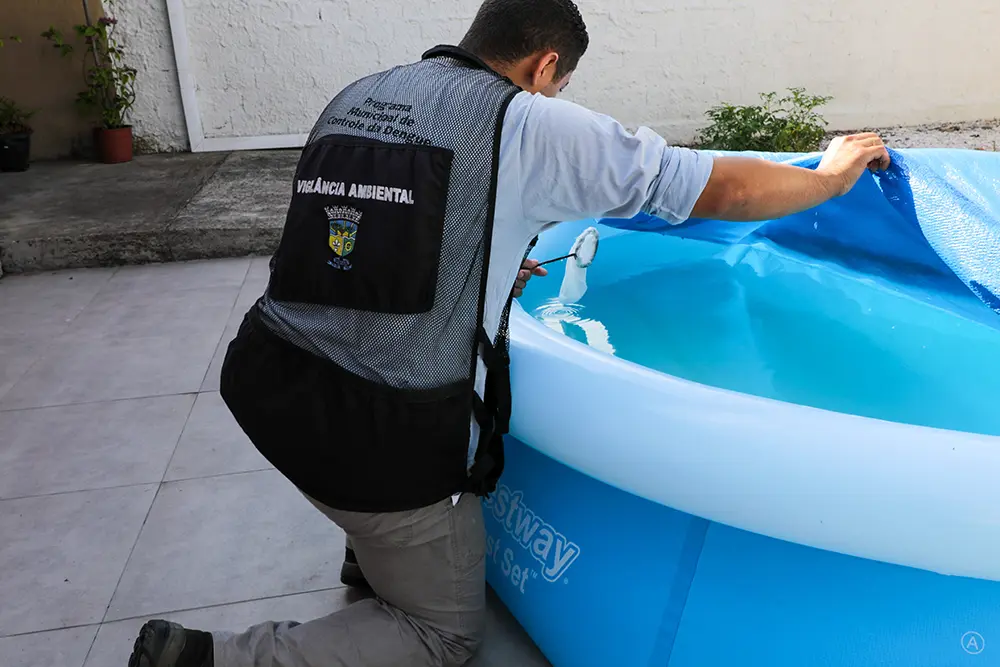 Novo levantamento em Pinhais aponta residências como maior foco de criadouros do Aedes aegypti 9 Aedes aegypti