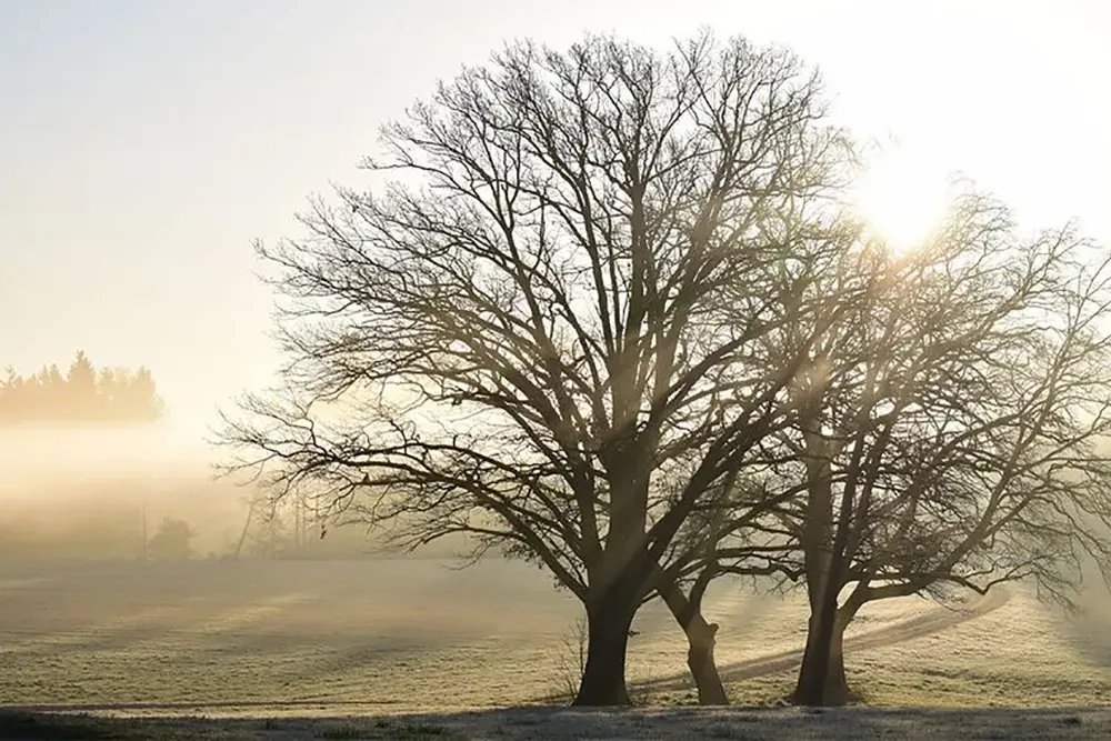 Inverno será quente? Altas temperaturas nos próximos meses têm relação com mudanças climáticas 7 Inverno será quente