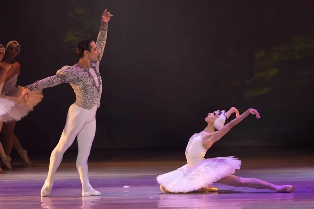 Nesta semana tem "O Lago dos Cisnes" da Curitiba Cia de Dança em Curitiba 1 O Lago dos Cisnes