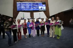 combate ao feminicídio