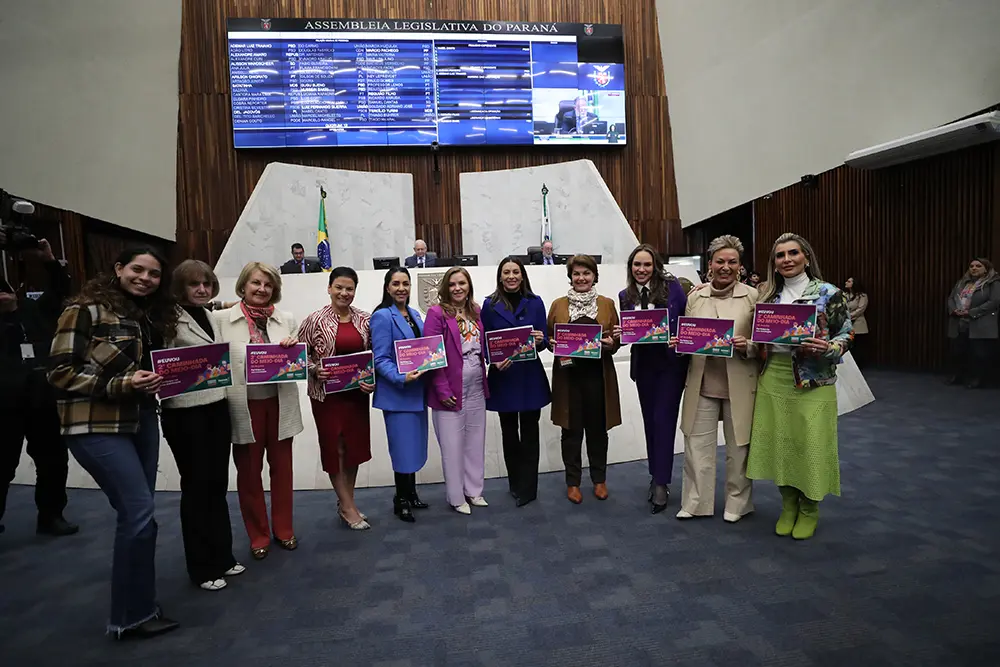 Deputadas manifestam apoio à caminhada que acontecerá no dia estadual de combate ao feminicídio 4 combate ao feminicídio