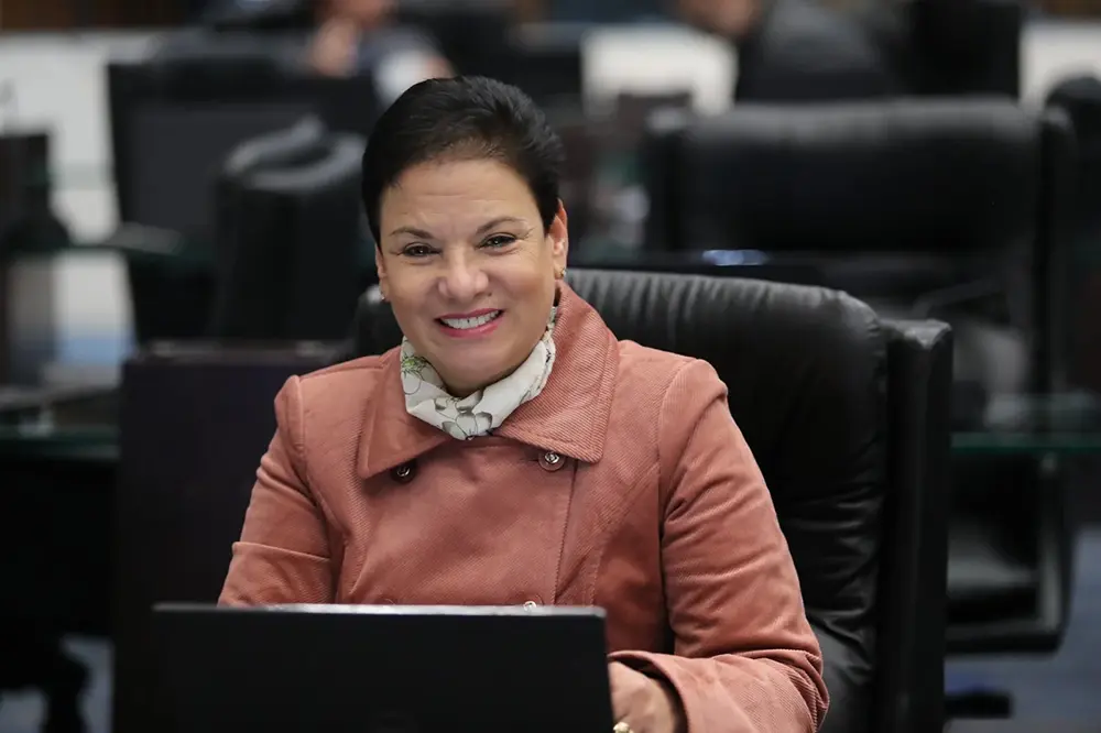 Deputada Marli Paulino propõe projeto de lei que facilita a vida das empresas 4 Deputada Marli Paulino