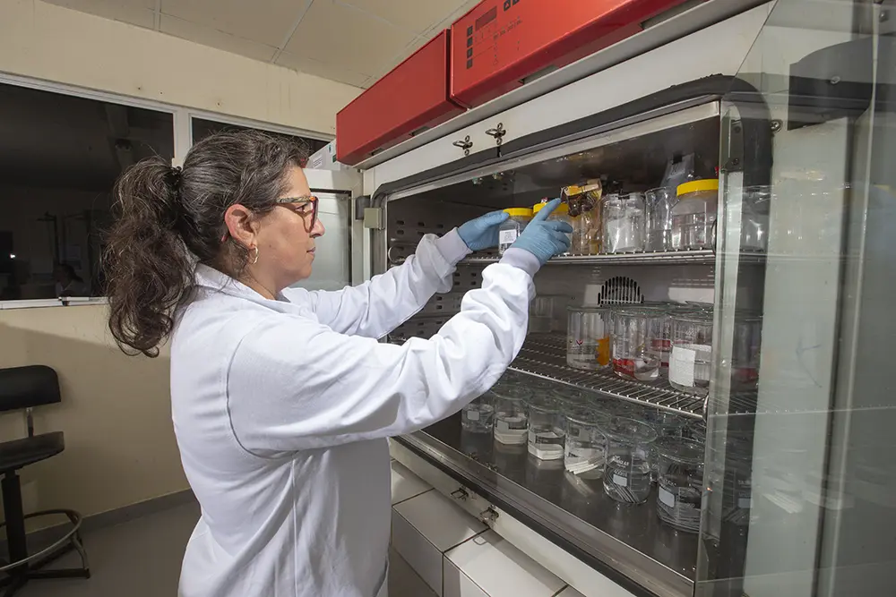 Análise de embalagens de alimentos do Tecpar assegura a saúde do consumidor 7 embalagens de alimentos