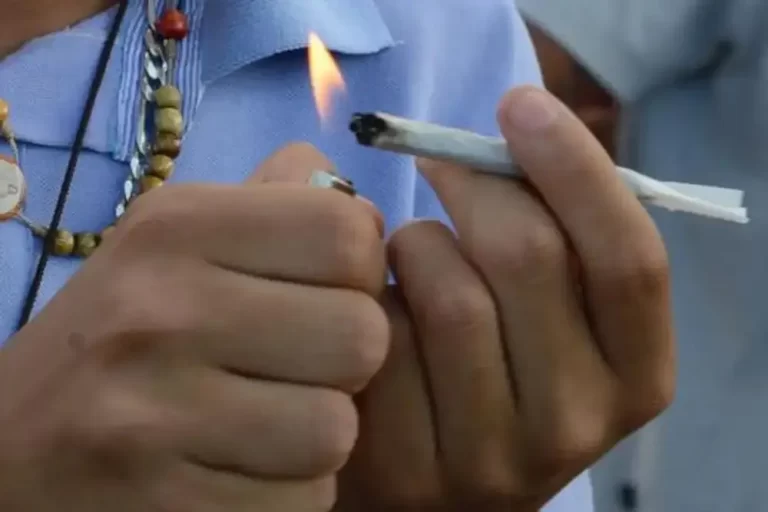 liberação da maconha
