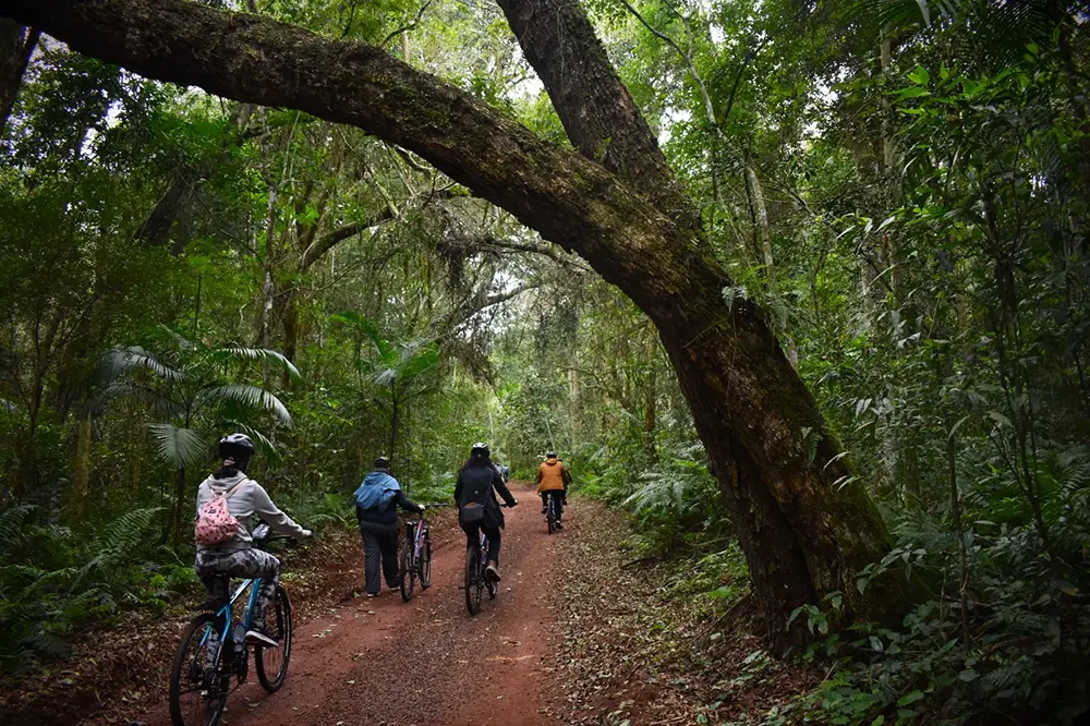 Bike Poço Preto: passeio guiado pela floresta da Mata Atlântica 2 Bike Poço Preto