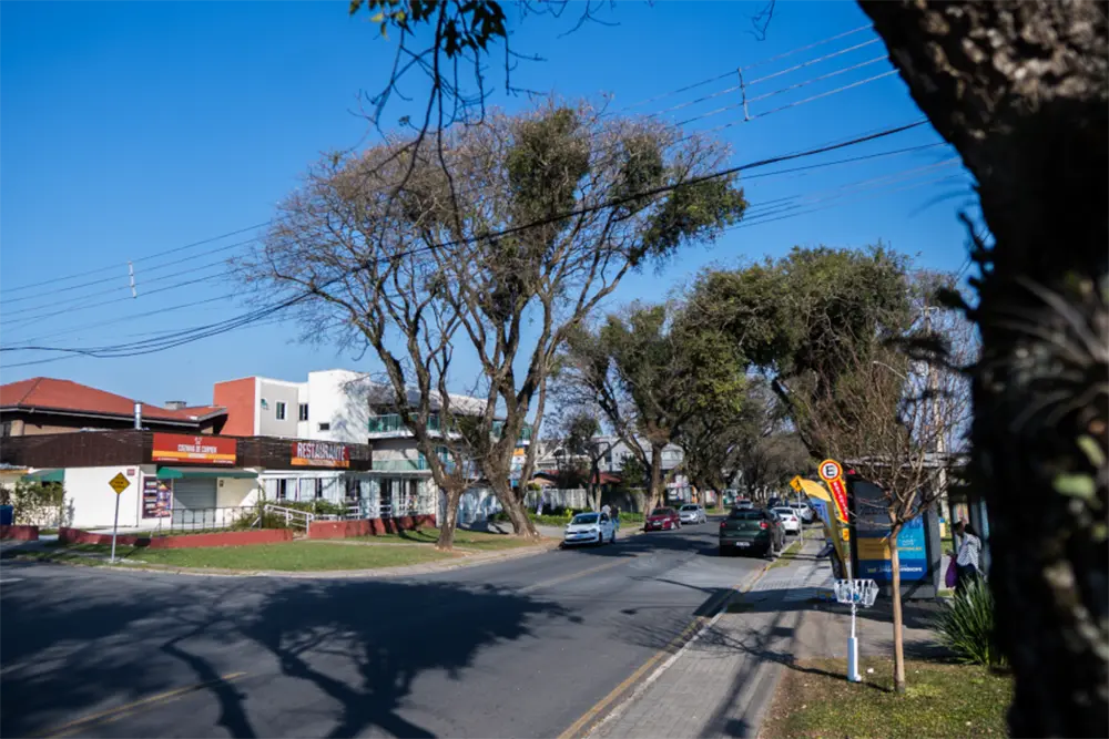 Polo Gastronômico do Jardim das Américas é aprovado na Câmara Municipal de Curitiba 1 Polo Gastronômico do Jardim das Américas