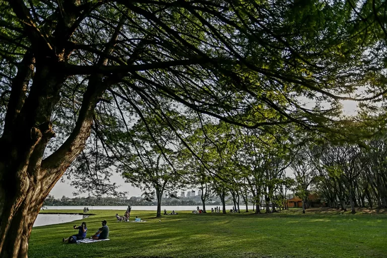 primavera quente