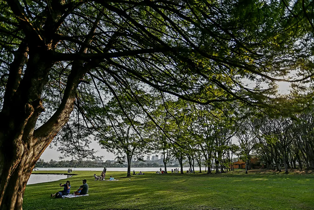 Simepar prevê primavera quente com chuvas ligeiramente abaixo da média no Paraná 3 primavera quente