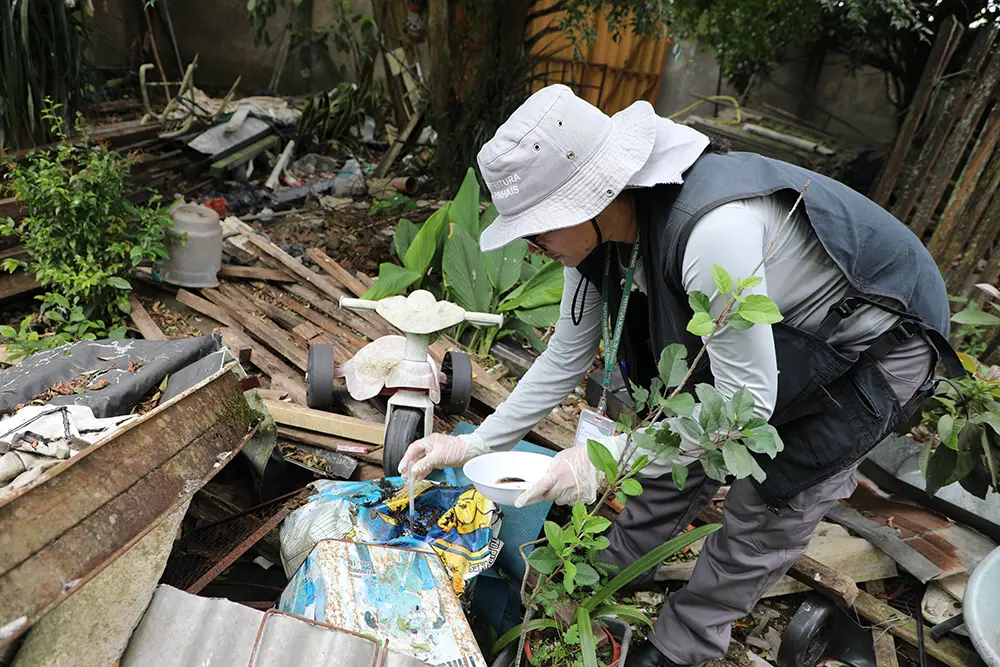 Prefeitura de Pinhais alerta para aumento no número de focos do vetor da dengue 3 dengue