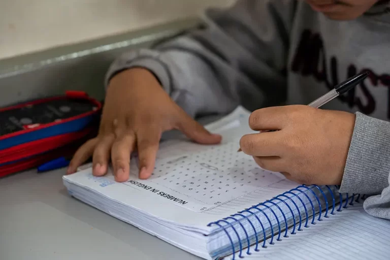 educação