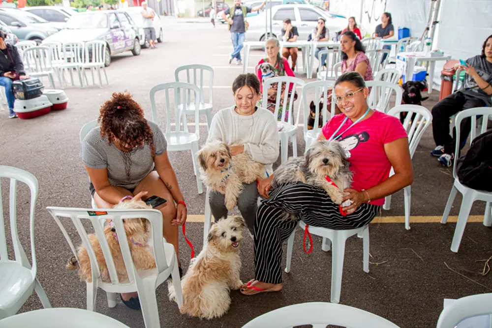 Programa CastraPet Paraná realiza 304 castrações em Piraquara 2 CastraPet Paraná