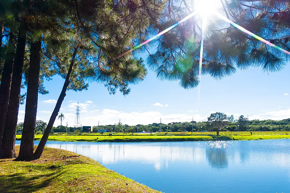 Prefeitura de São José dos Pinhais alerta para onda de calor e cuidados com a saúde 2 onda de calor