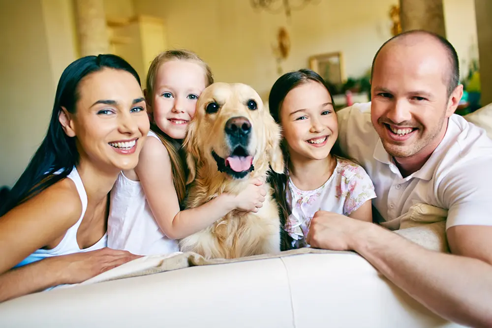 Pets em Condomínios residenciais: a Reforma do Código Civil - um novo paradigma legal 2 Pets em Condomínios