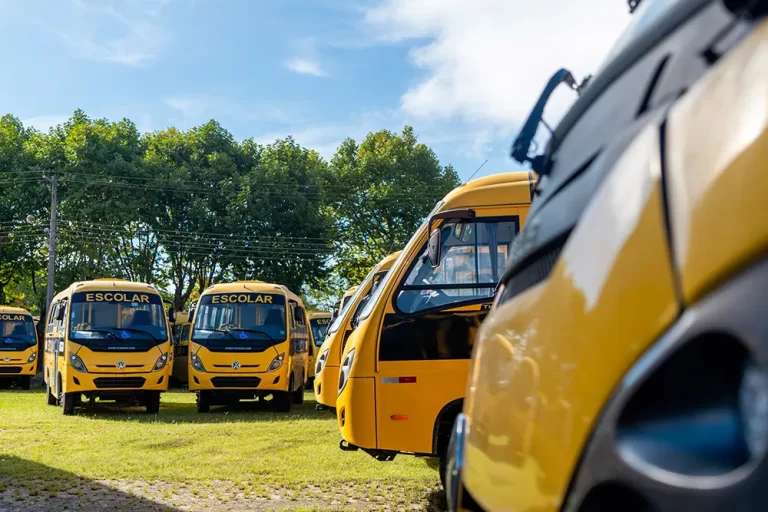 ônibus novos