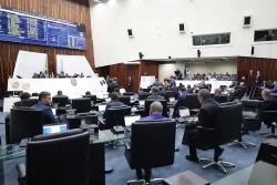 participação feminina