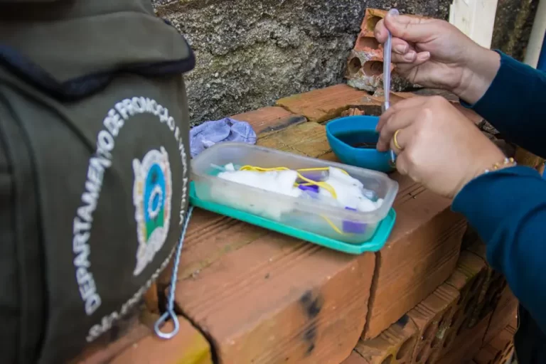 combate à dengue