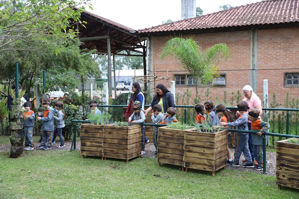 Unidades de Ensino podem agendar visitas educativas ao Meliponário e ao Jardim das Sensações em São José dos Pinhais 6 meliponario jardim sensacoes