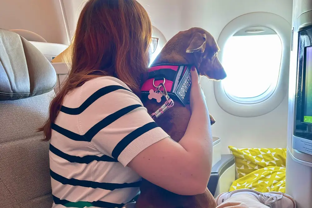 Justiça reconhece o papel terapêutico dos pets na saúde mental 1 Emma durante o voo