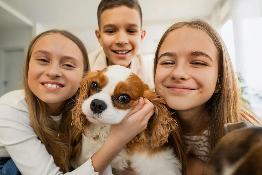 MedVet Day reúne tutores e pets no UniCuritiba neste sábado 6 MedVet Day