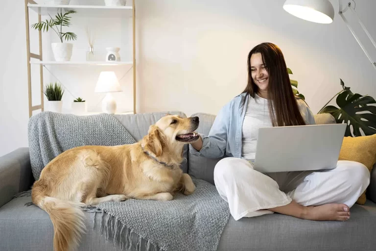 alergia a pets