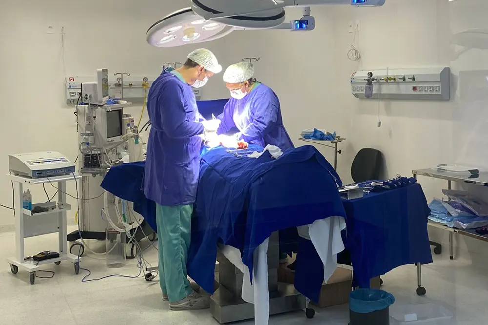 Paraná realiza mais de 2 mil cirurgias eletivas por dia com investimento bilionário 2 cirurgias eletivas