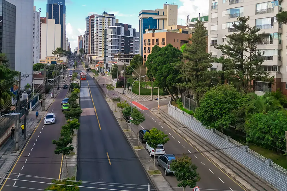 Corredores Verdes plantados pela Prefeitura transformam avenidas cinzas de Curitiba 3 Corredores verdes