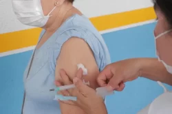 vacinação