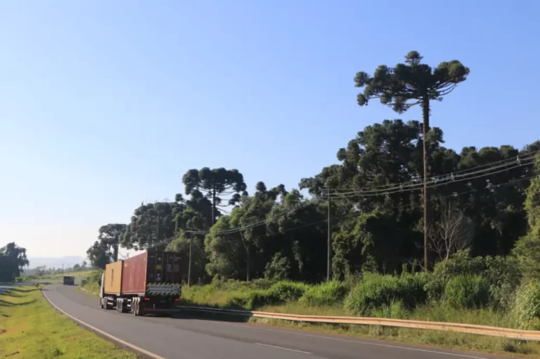 Operação Assistida