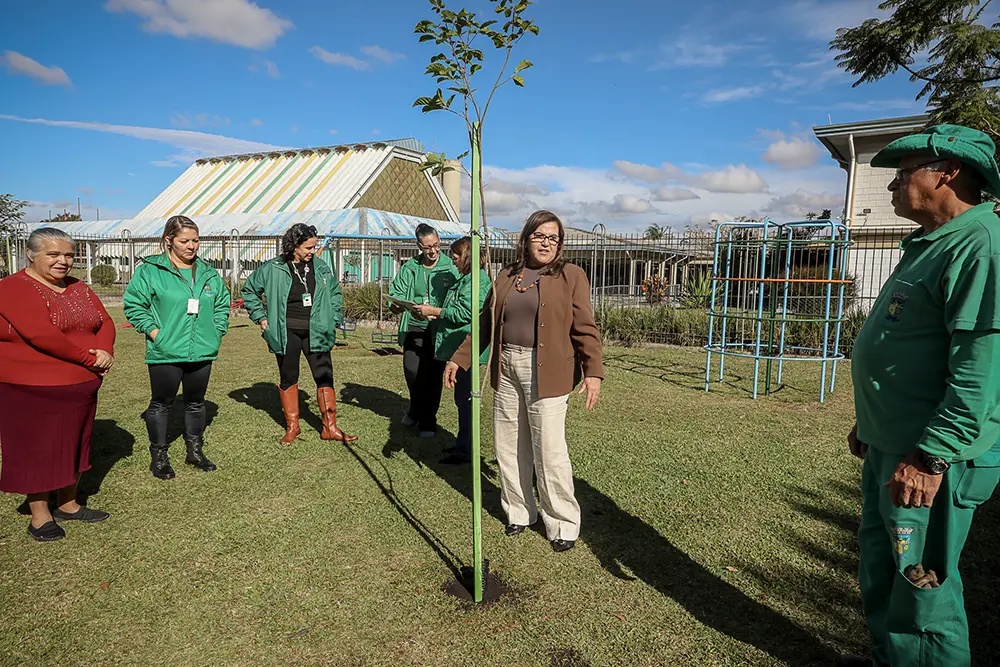 Pinhais realiza Semana do Meio Ambiente com plantio de pau-brasil e ações de conscientização 2 SEMANA MEIO AMBIENTE 02